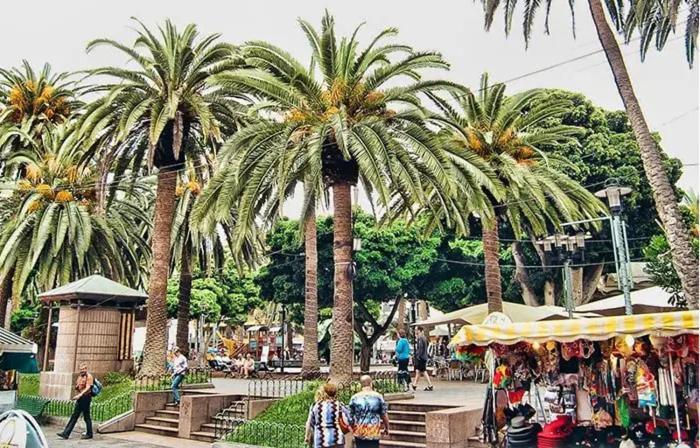 Vulcano Paradise Пуерто де ла Крус Екстериор снимка